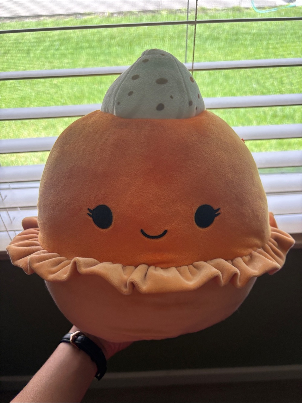 Torize Squishmallows Orange Pumpkin Pie Plush with Cream Top